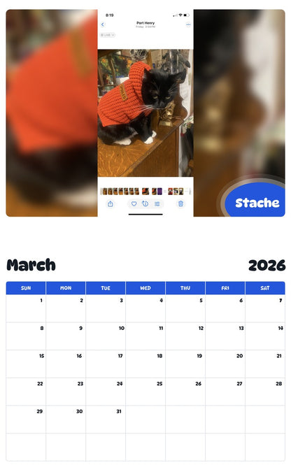 November 2025 - October 2026 Stache - Pawidols Pet Calendar