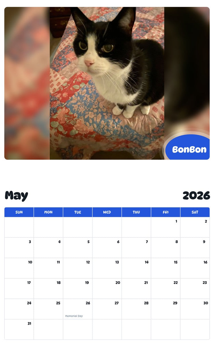2026 - 2027 BonBon - Pawidols Pet Calendar