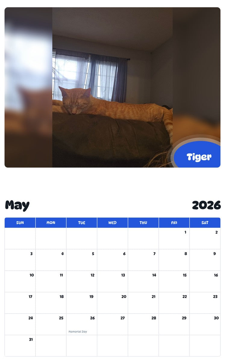2026 - 2027 Tiger - Pawidols Pet Calendar