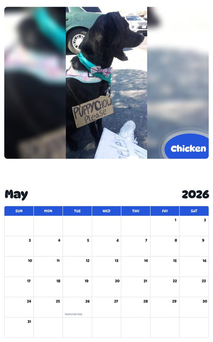2026 - 2027 Chicken - Pawidols Pet Calendar