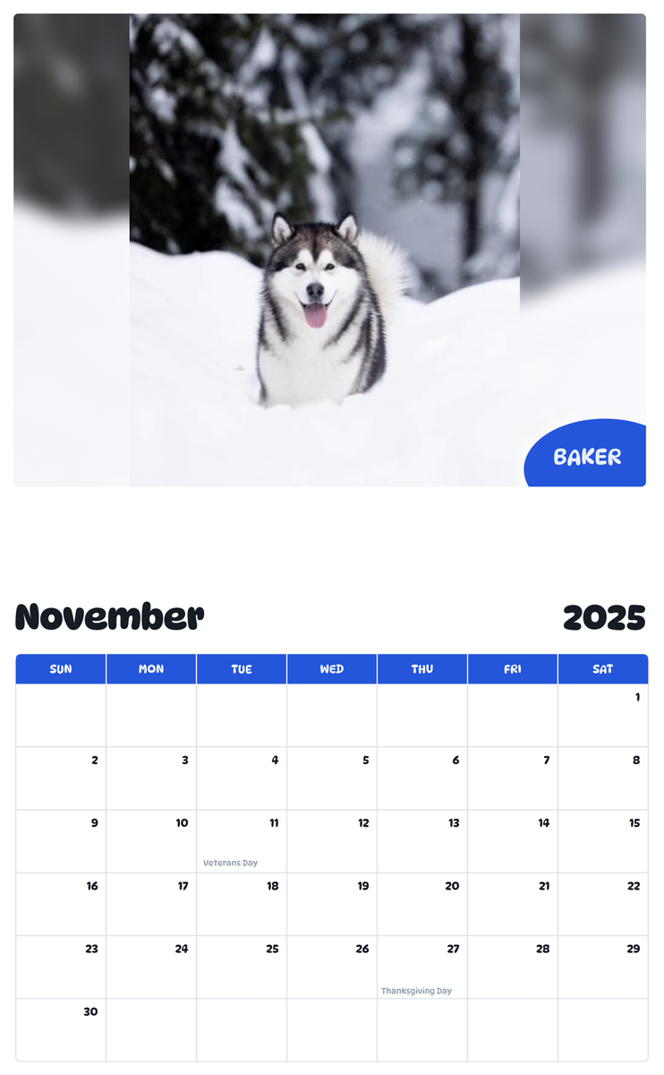 July 2025 - June 2026 Baker - Pawidols Pet Calendar