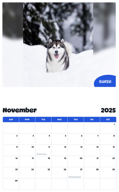 July 2025 - June 2026 Baker - Pawidols Pet Calendar