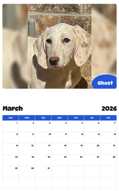 November 2025 - October 2026 Ghost - Pawidols Pet Calendar