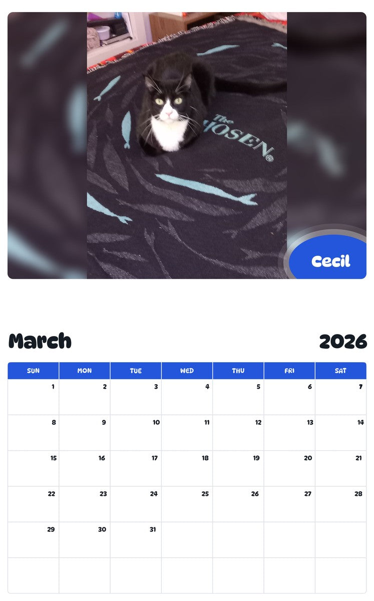 November 2025 - October 2026 Cecil - Pawidols Pet Calendar
