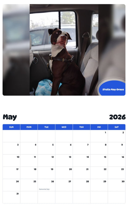 2026 - 2027 Stella May Grace - Pawidols Pet Calendar