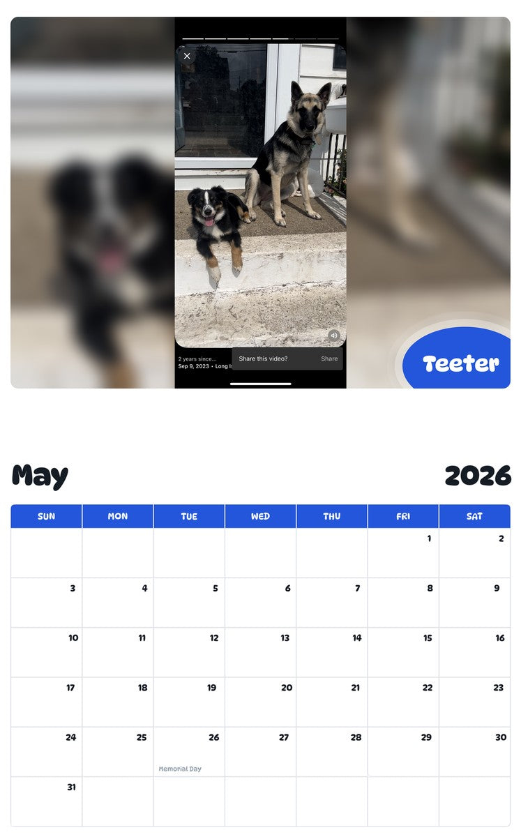2026 - 2027 Teeter - Pawidols Pet Calendar