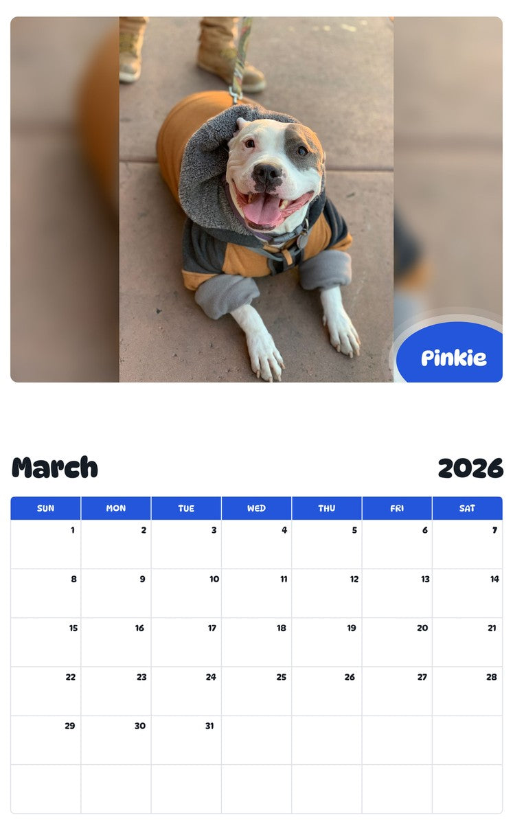 November 2025 - October 2026 Pinkie - Pawidols Pet Calendar