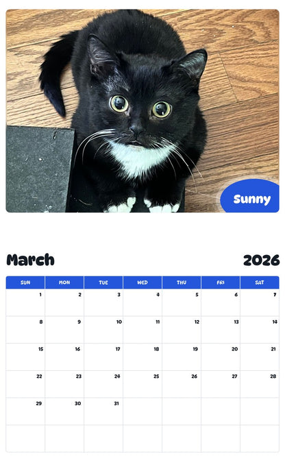November 2025 - October 2026 Sunny - Pawidols Pet Calendar