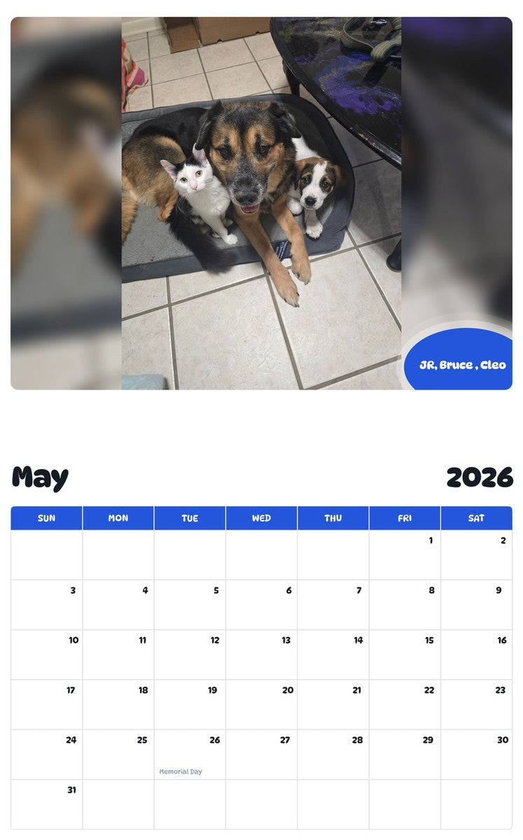 2026 - 2027 JR, Bruce , Cleo - Pawidols Pet Calendar