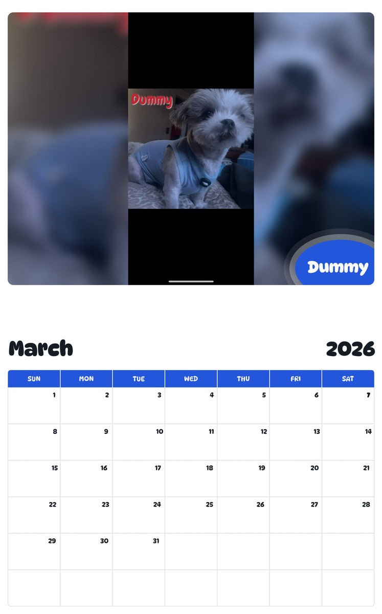November 2025 - October 2026 Dummy - Pawidols Pet Calendar