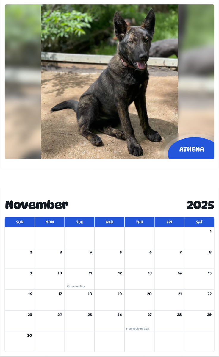July 2025 - June 2026 Athena - Pawidols Pet Calendar