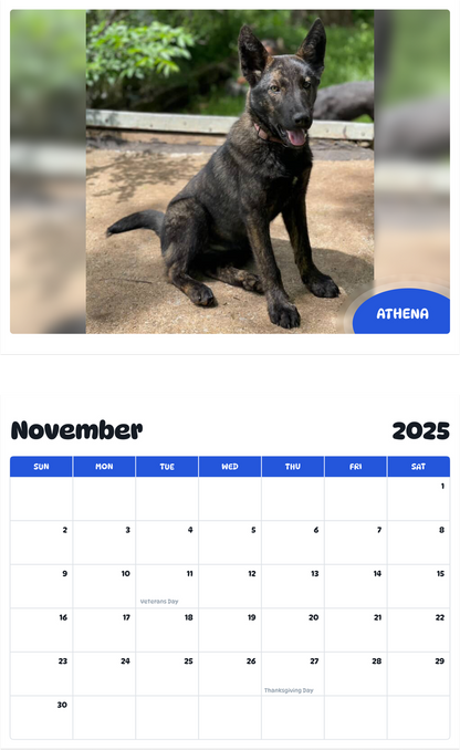 July 2025 - June 2026 Athena - Pawidols Pet Calendar