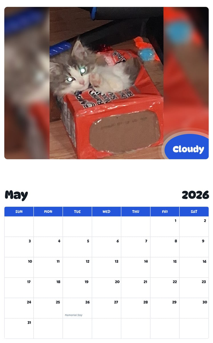 2026 - 2027 Cloudy - Pawidols Pet Calendar