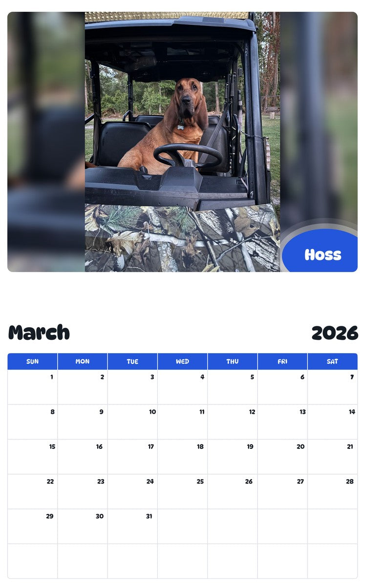 November 2025 - October 2026 Hoss - Pawidols Pet Calendar