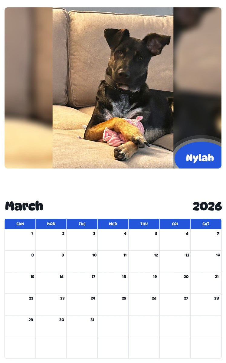November 2025 - October 2026 Nylah - Pawidols Pet Calendar