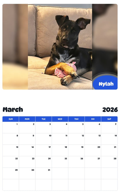 November 2025 - October 2026 Nylah - Pawidols Pet Calendar