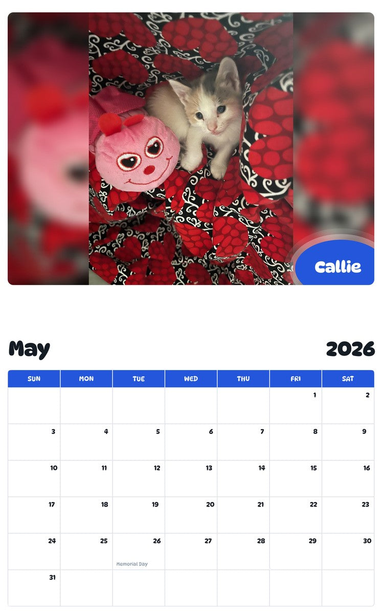 2026 - 2027 Callie - Pawidols Pet Calendar