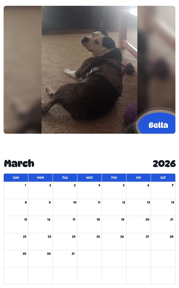 November 2025 - October 2026 Bella - Pawidols Pet Calendar