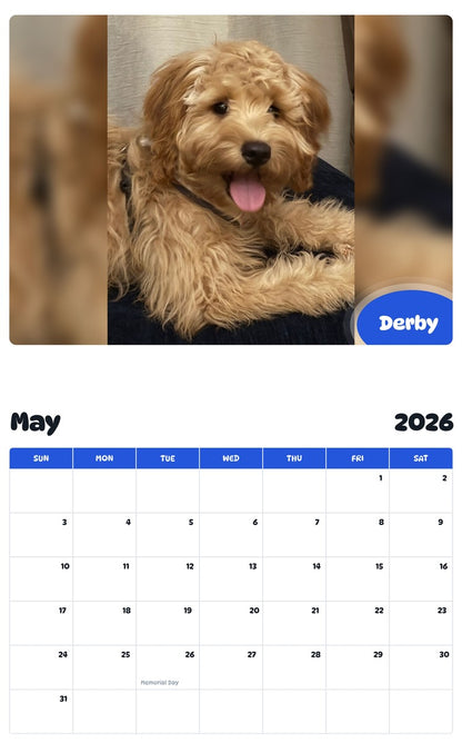 2026 - 2027 Derby - Pawidols Pet Calendar