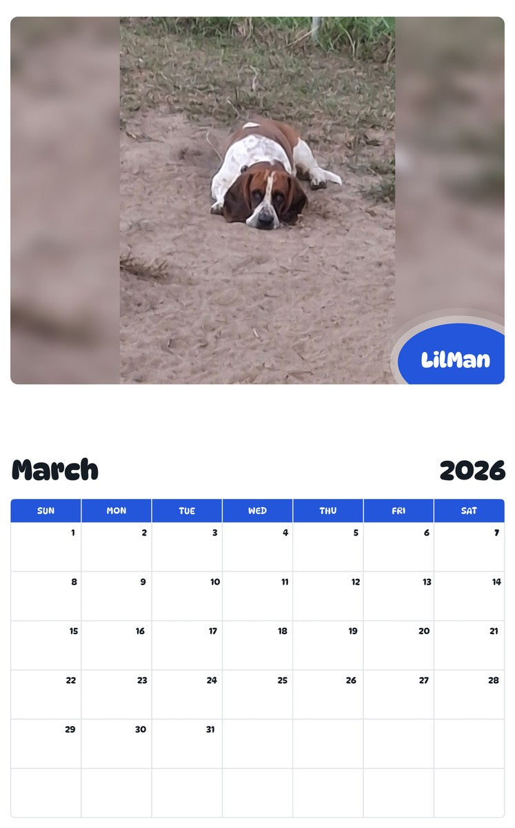 November 2025 - October 2026 LilMan - Pawidols Pet Calendar