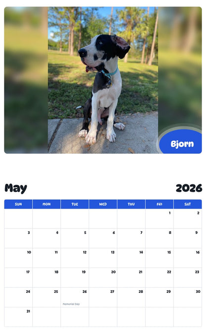 2026 - 2027 Bjorn - Pawidols Pet Calendar