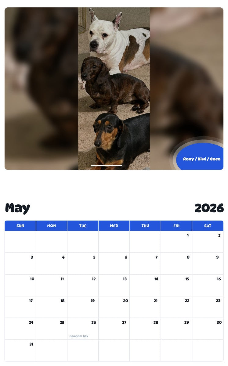 2026 - 2027 Roxy / Kiwi / Coco - Pawidols Pet Calendar