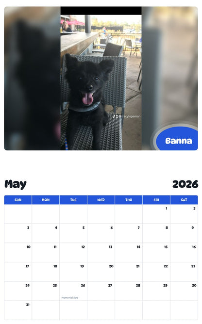 2026 - 2027 Banna - Pawidols Pet Calendar