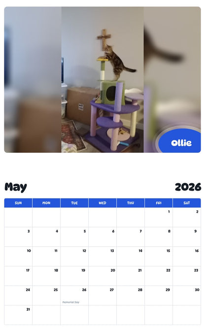 2026 - 2027 Ollie - Pawidols Pet Calendar