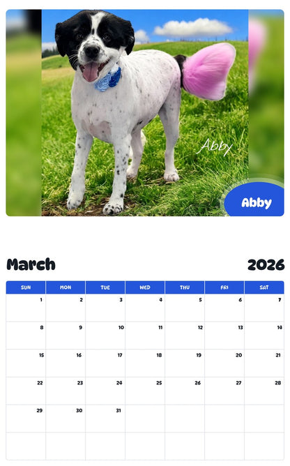 November 2025 - October 2026 Abby - Pawidols Pet Calendar