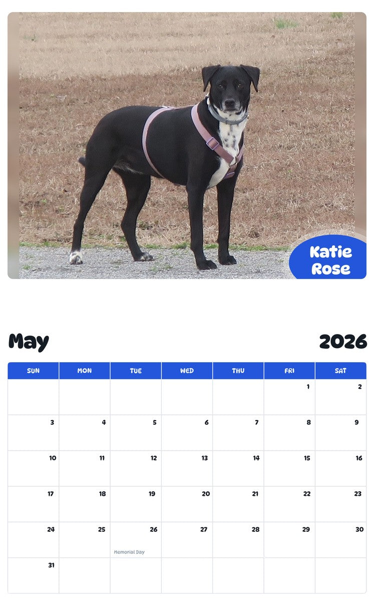 2026 - 2027 Katie Rose - Pawidols Pet Calendar