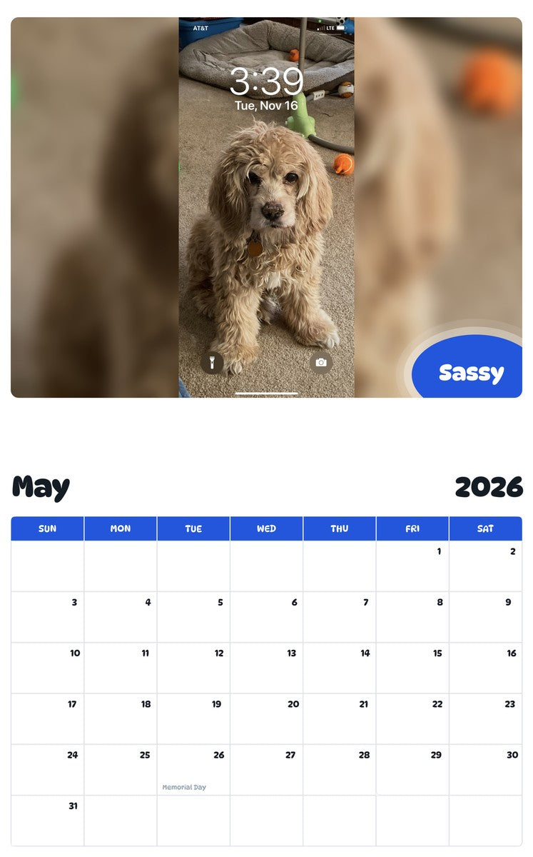 2026 - 2027 Sassy - Pawidols Pet Calendar