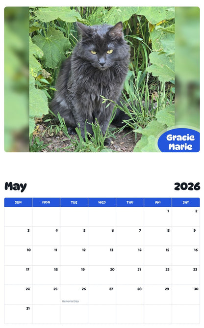 2026 - 2027 Gracie Marie - Pawidols Pet Calendar