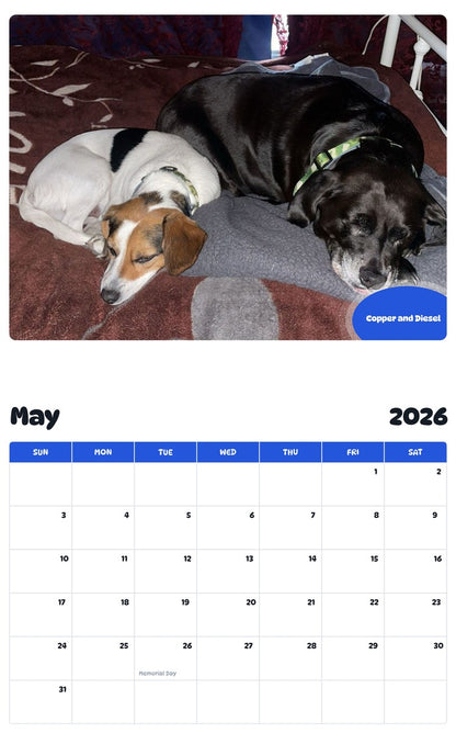 2026 - 2027 Copper and Diesel - Pawidols Pet Calendar