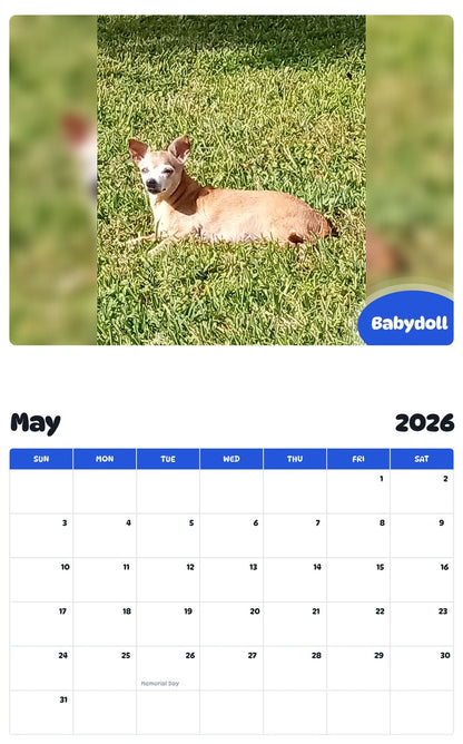 2026 - 2027 Babydoll - Pawidols Pet Calendar
