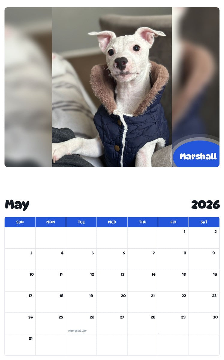 2026 - 2027 Marshall - Pawidols Pet Calendar