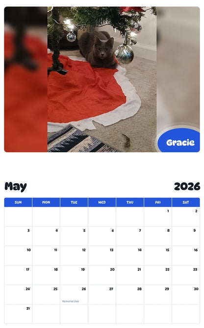 2026 - 2027 Gracie - Pawidols Pet Calendar