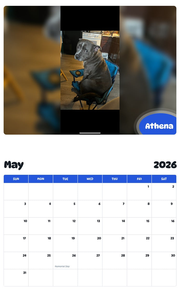 2026 - 2027 Athena - Pawidols Pet Calendar