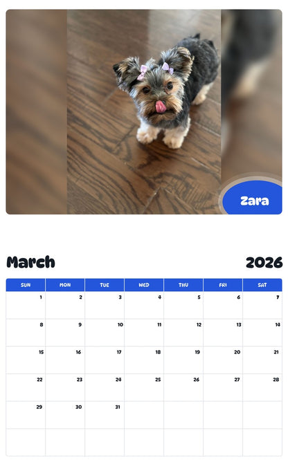 November 2025 - October 2026 Zara - Pawidols Pet Calendar