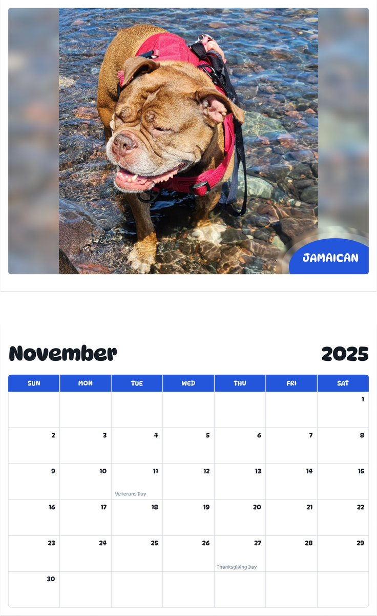 July 2025 - June 2026 Jamaican - Pawidols Pet Calendar