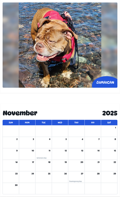 July 2025 - June 2026 Jamaican - Pawidols Pet Calendar