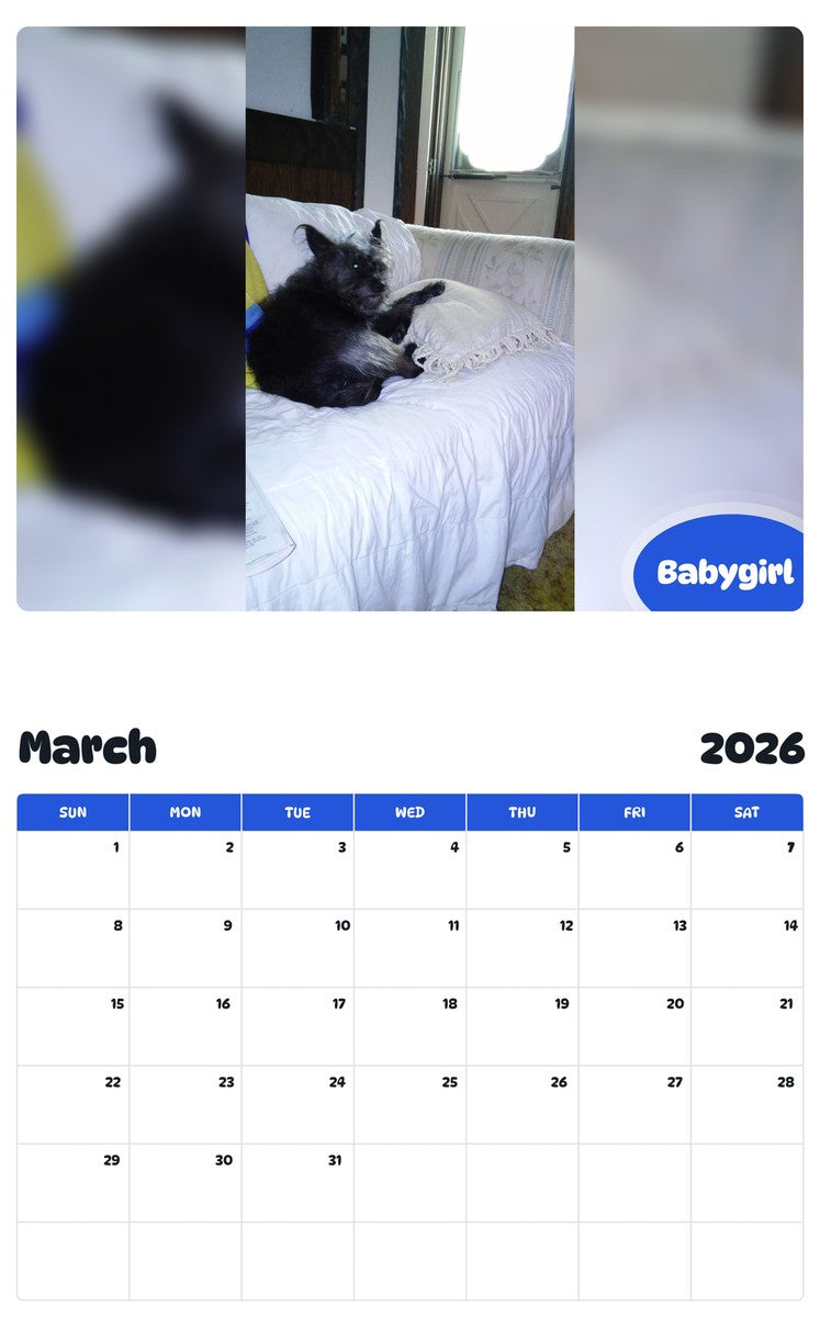 November 2025 - October 2026 Babygirl - Pawidols Pet Calendar