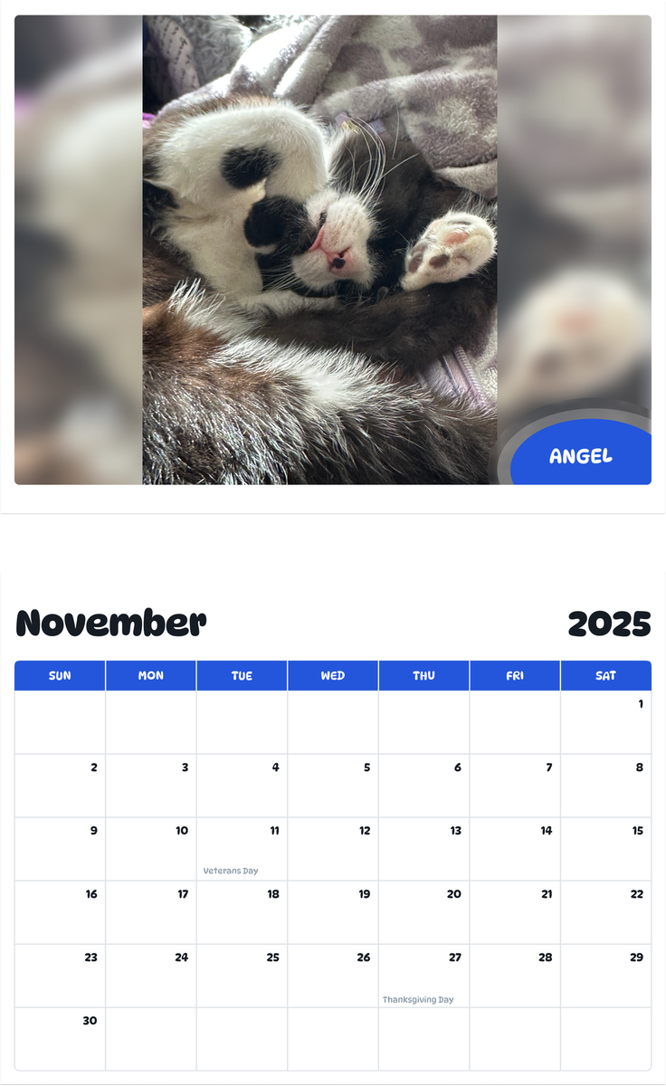 July 2025 - June 2026 Angel - Pawidols Pet Calendar