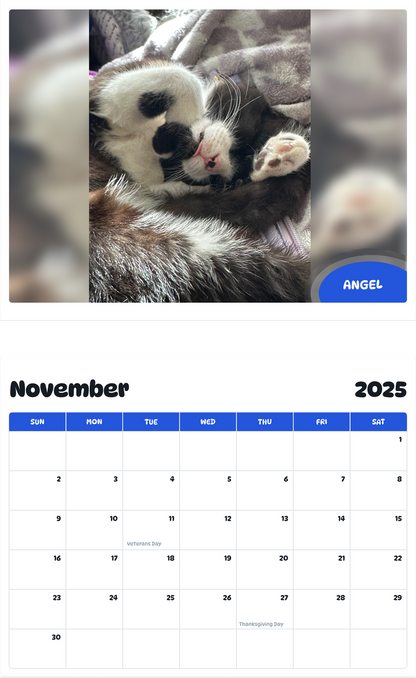 July 2025 - June 2026 Angel - Pawidols Pet Calendar