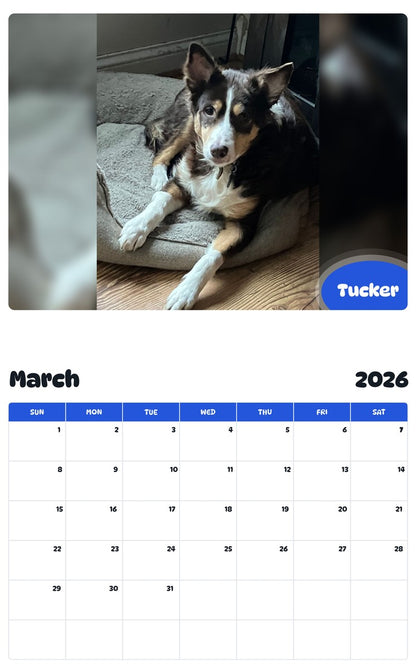 November 2025 - October 2026 Tucker - Pawidols Pet Calendar