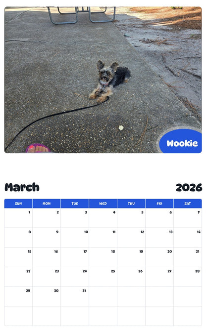 November 2025 - October 2026 Wookie - Pawidols Pet Calendar