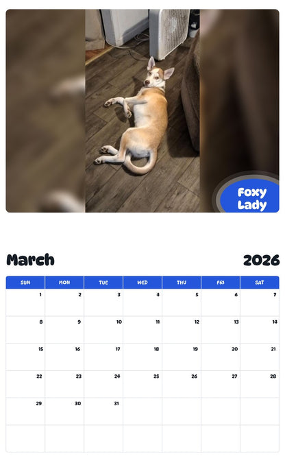 November 2025 - October 2026 Foxy Lady - Pawidols Pet Calendar