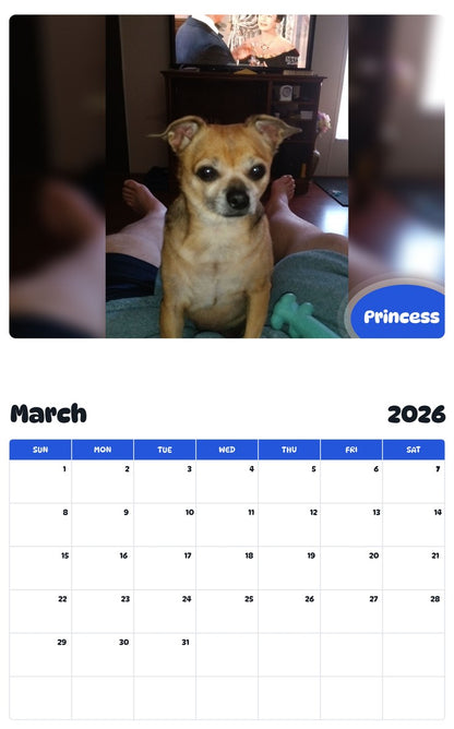 November 2025 - October 2026 Princess - Pawidols Pet Calendar