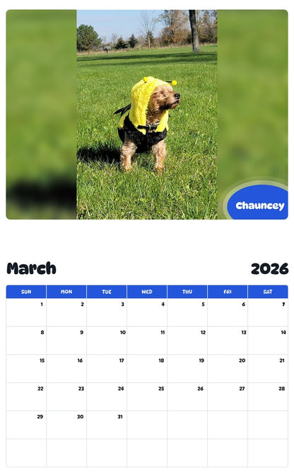 November 2025 - October 2026 Chauncey - Pawidols Pet Calendar