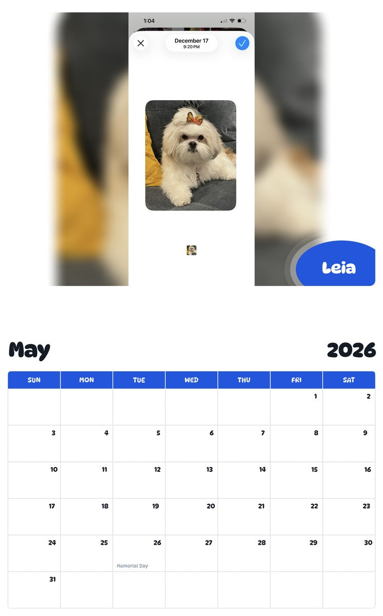 2026 - 2027 Leia - Pawidols Pet Calendar