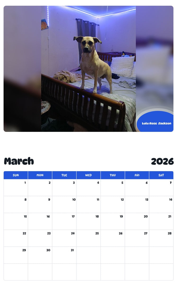 November 2025 - October 2026 Lulu Rose  Jackson - Pawidols Pet Calendar